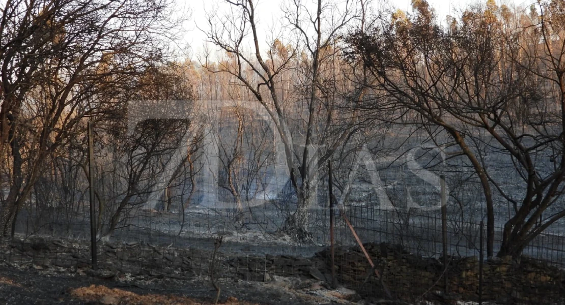 Imágenes del incendio en La Codosera: así está la situación