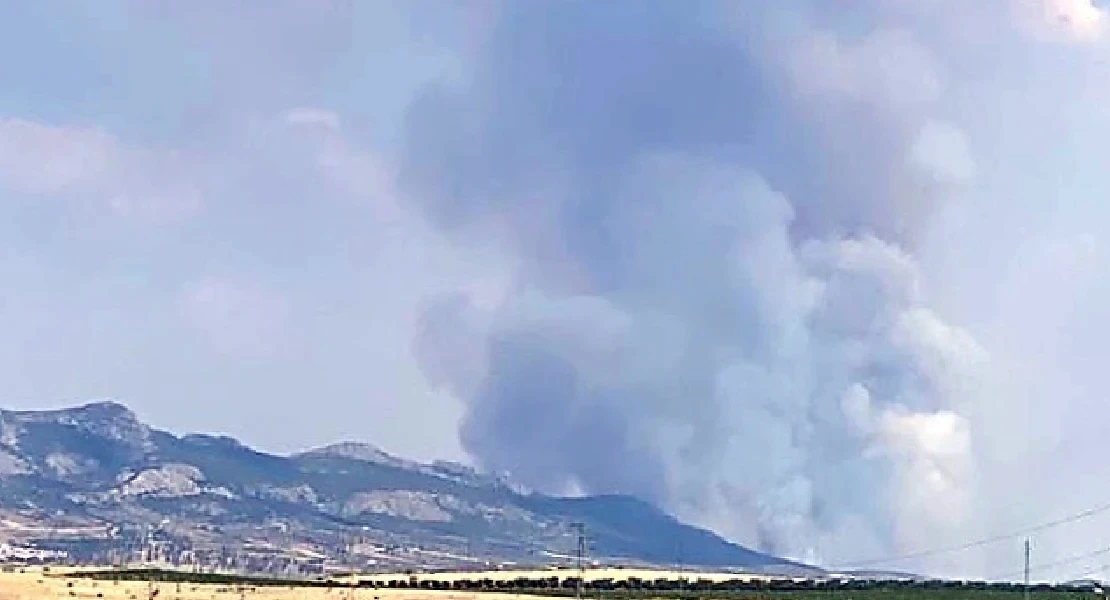 UpE denuncia un comienzo de temporada alta de incendios “negligente”