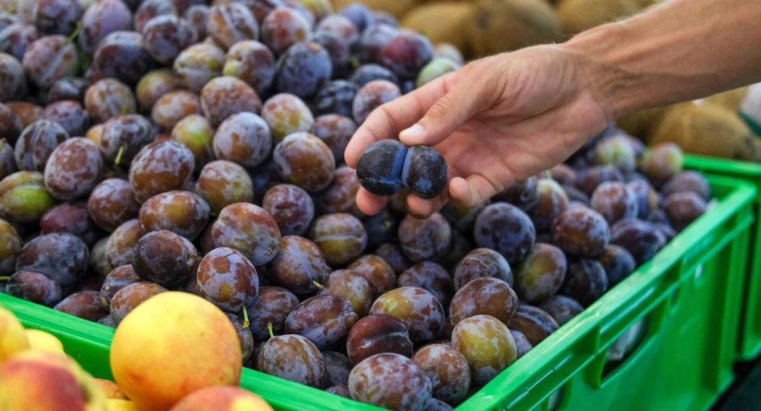 Denuncian un incremento de hasta el 900% del precio de la fruta entre el agricultor y el consumidor