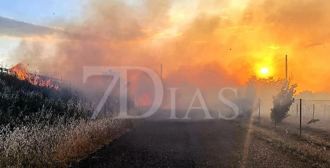 Amplio dispositivo para extinguir varios incendios forestales en la pedanía pacense de Gévora