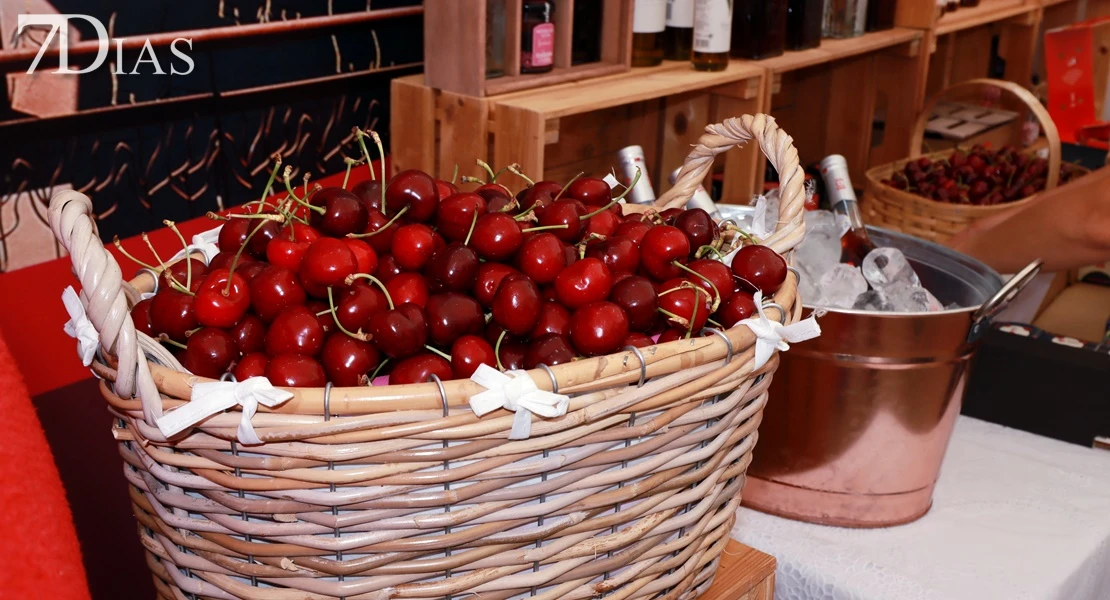 Descubre los lugares más mágicos del norte de Extremadura en JATO, una feria única