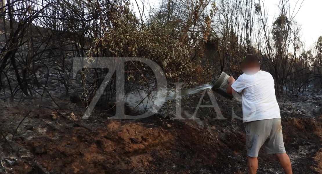 Imágenes del incendio en La Codosera: así está la situación