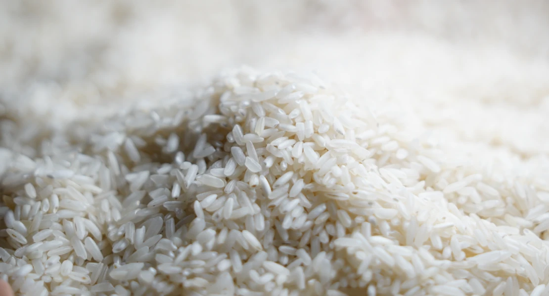 UED denuncia la entrada masiva de arroz argentino "mientras el extremeño queda almacenado"