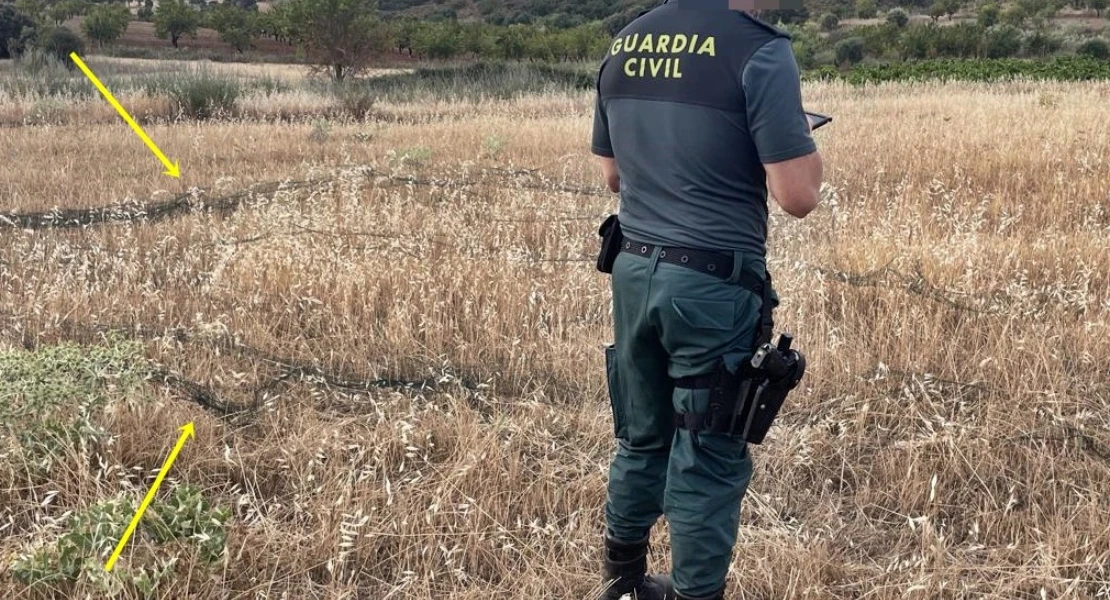 La Guardia Civil sorprende a dos cazadores furtivos en Fuente del Maestre