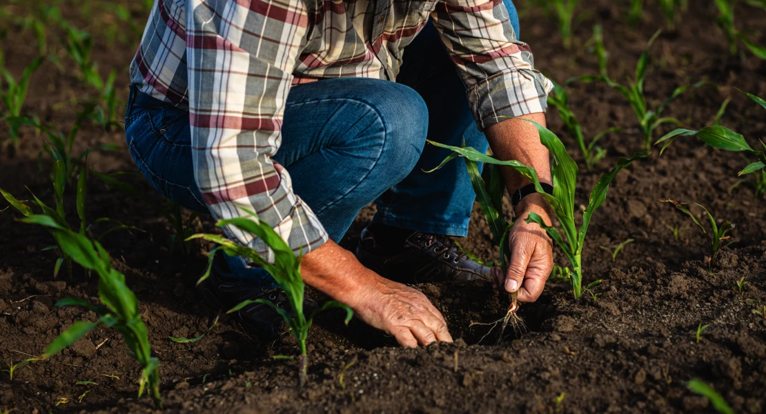La Junta abona los últimos pagos de la PAC a más de 37.000 agricultores extremeños