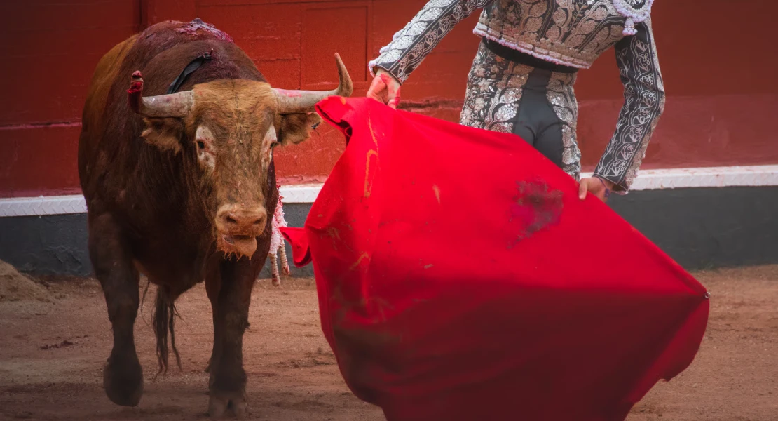 Piden retirar el 'palco infantil' para ver corridas de toros en Badajoz