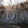 Imágenes del incendio en La Codosera: así está la situación