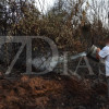 Imágenes del incendio en La Codosera: así está la situación