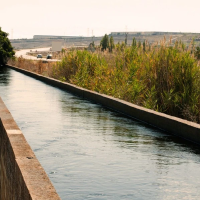 SEO/BirdLife pide limitar nuevos regadíos y priorizar la recuperación ecológica del Guadiana
