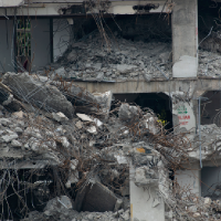 Canarias confirma la muerte de su delegada del Gobierno en el doble terremoto de Venezuela