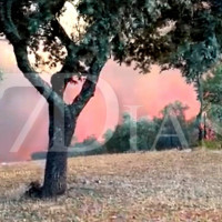 Imágenes del incendio en La Codosera: así está la situación