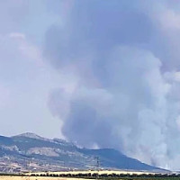 UpE denuncia un comienzo de temporada alta de incendios “negligente”