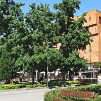 Vuelven a subir las temperaturas este martes en Extremadura