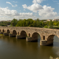 Denuncian actuaciones de riesgo para especies protegidas en el puente romano de Mérida