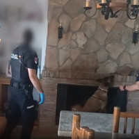 Tres detenidos por la muerte de un joven en el ferial de Villanueva de la Serena