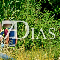 Los restos del joven asesinado han aparecido en bolsas