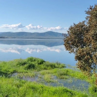 El calor empieza a notarse en los embalses extremeños y el verano puede ser largo