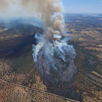 El INFOEX ha intervenido en 31 incendios forestales durante la última semana