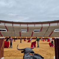 Diputación oferta cuatro becas de alojamiento para el alumnado de la Escuela de Tauromaquia