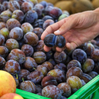 Denuncian un incremento de hasta el 900 % del precio de la fruta entre el agricultor y el consumidor