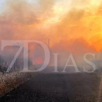 Amplio dispositivo para extinguir varios incendios forestales en la pedanía pacense de Gévora