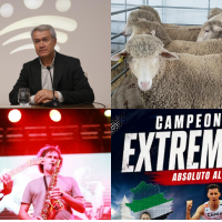 La Diputación de Badajoz continúa invirtiendo en empleo, festivales de música y fiestas ganaderas