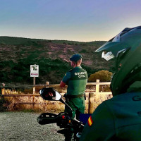 Detenido tras dejar que su perro matara a un gato en Cáceres