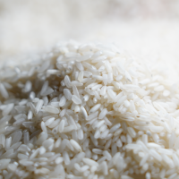 UED denuncia la entrada masiva de arroz argentino "mientras el extremeño queda almacenado"