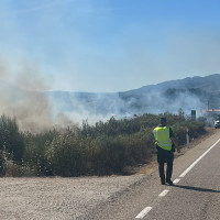 El incendio en la A-66 se reactiva y afecta a la circulación de dos trenes