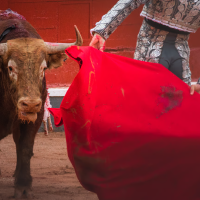 Piden retirar el 'palco infantil' para ver corridas de toros en Badajoz