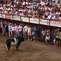 Un joven herido tras la suelta del toro de San Juan de Coria