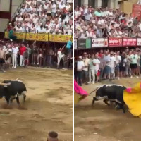 Una cogida deja en estado grave a un joven en los Sanjuanes de Coria