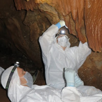 Un proyecto arqueológico confirma que el ADN humano puede conservarse en las paredes de las cuevas