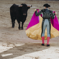 Piden al Papa León XIV que condene los festejos taurinos en honor a santos y vírgenes