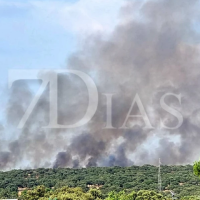 El INFOEX intervino en 43 incendios forestales la semana pasada