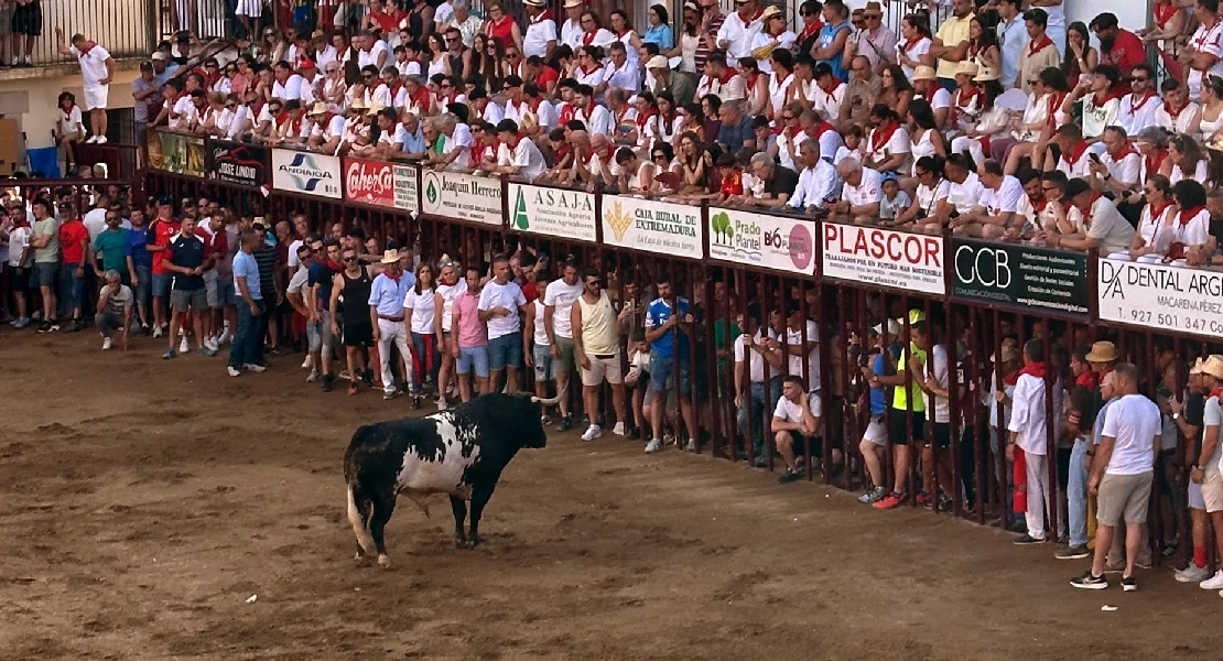 Un joven herido tras la suelta del toro de San Juan de Coria