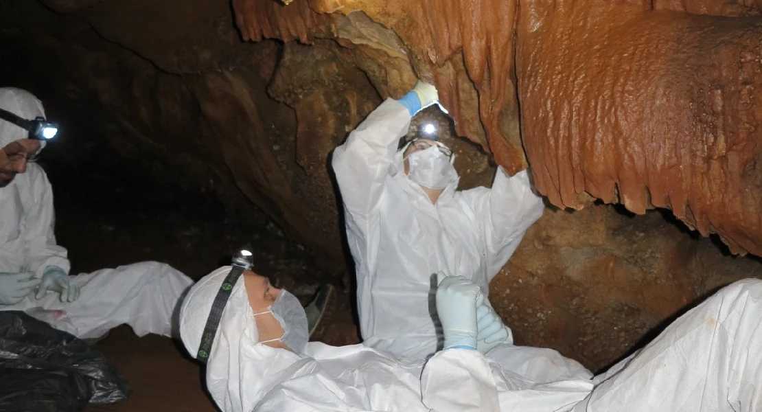 Un proyecto arqueológico confirma que el ADN humano puede conservarse en las paredes de las cuevas