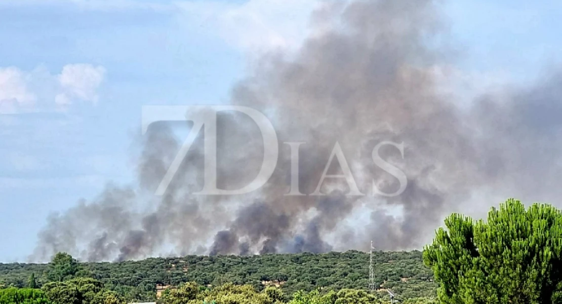 Un incendio a las afueras de Badajoz amenaza viviendas: activado el nivel 1 de peligrosidad