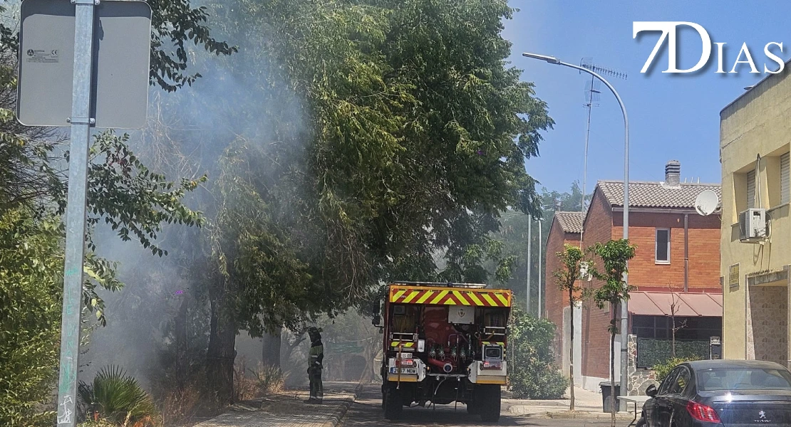 Arde un solar junto a varias viviendas en Las Moreras