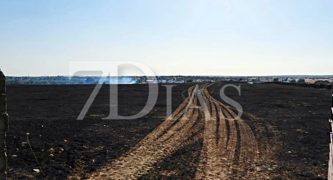 Imágenes del incendio forestal en Valdefuentes (CC)