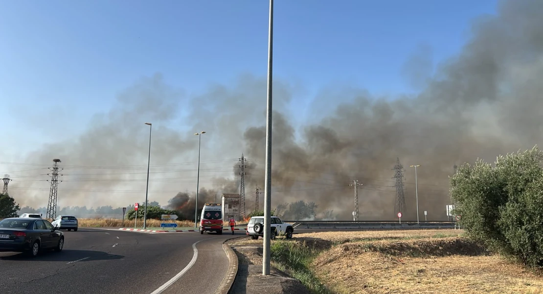 Un amplio dispositivo lucha contra un incendio forestal en Badajoz