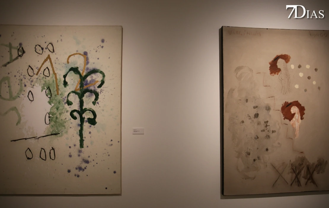 El MUBA sella su proyecto regional con la inauguración de ´La atávica mirada contemporánea´, de Hilario Bravo