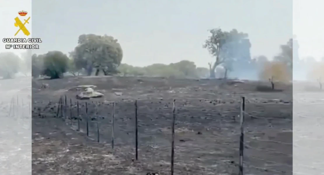 Controlan la reactivación del incendio forestal en Arroyo de la Luz