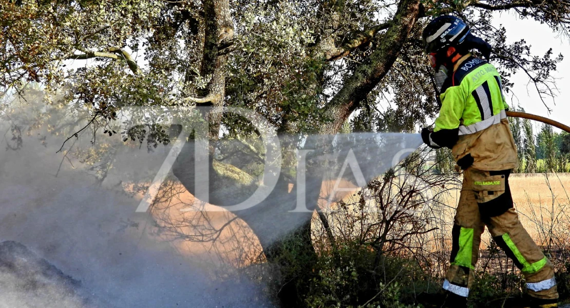 Los bomberos trabajan en un incendio forestal cerca de Badajoz