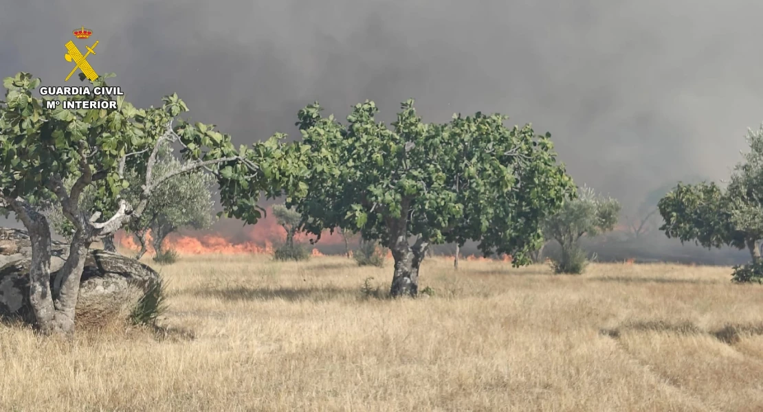Declarado el nivel 1 de peligrosidad en un incendio forestal en Arroyo de la Luz (CC)