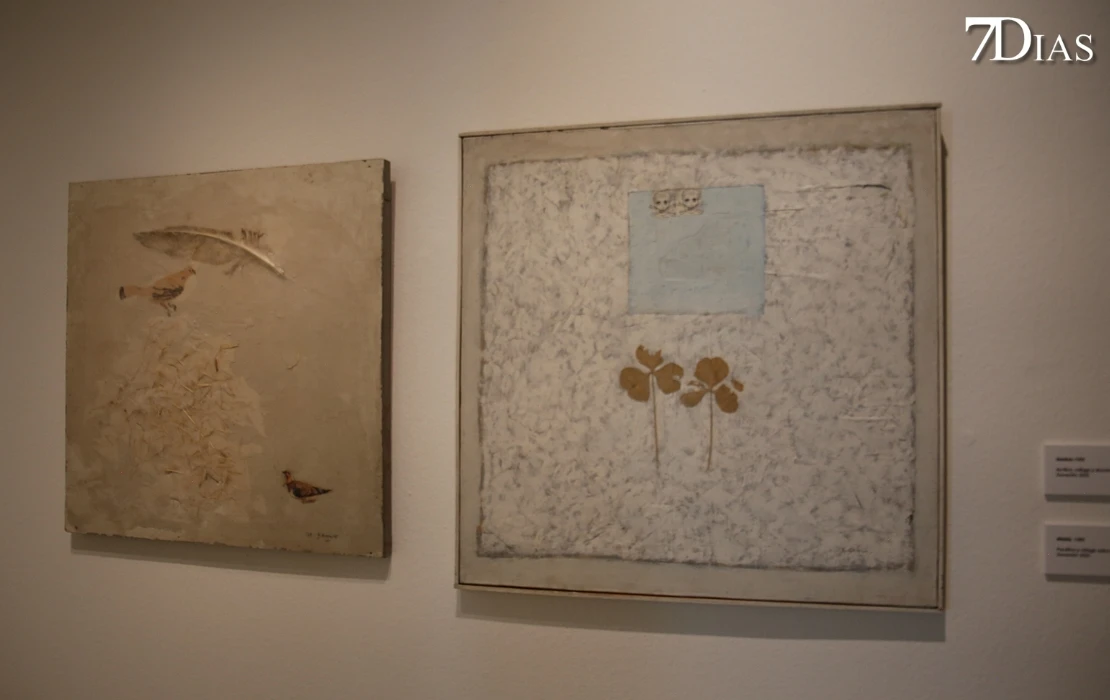 El MUBA sella su proyecto regional con la inauguración de ´La atávica mirada contemporánea´, de Hilario Bravo