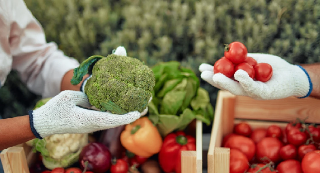 Ayudas para impulsar los regímenes de calidad agroalimentaria en 2026 en Extremadura