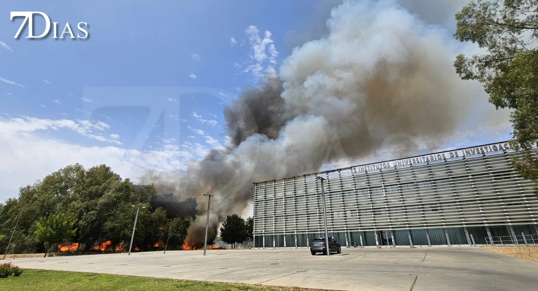 Un incendio moviliza a los bomberos junto a la Universidad de Extremadura en Badajoz