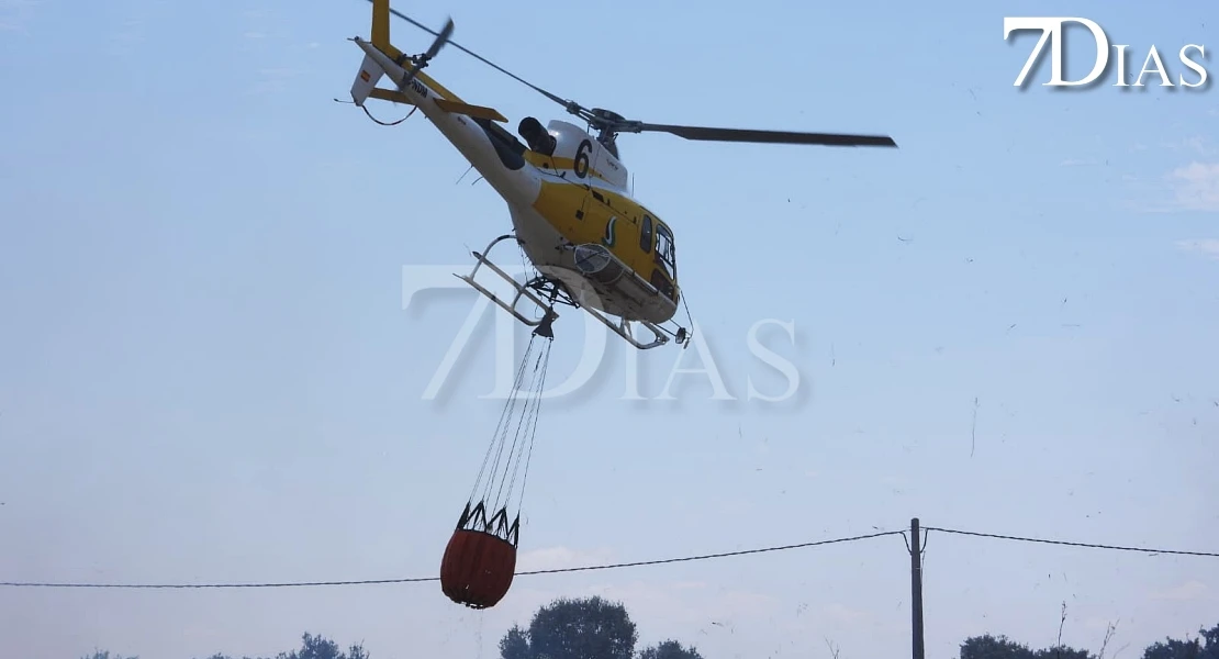 Imágenes que deja el incendio forestal de este martes en Badajoz