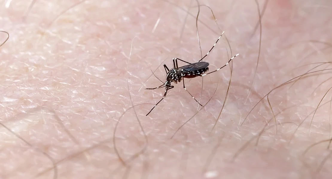La Junta de Extremadura apuesta por la prevención de sus trabajadores frente al Virus del Nilo